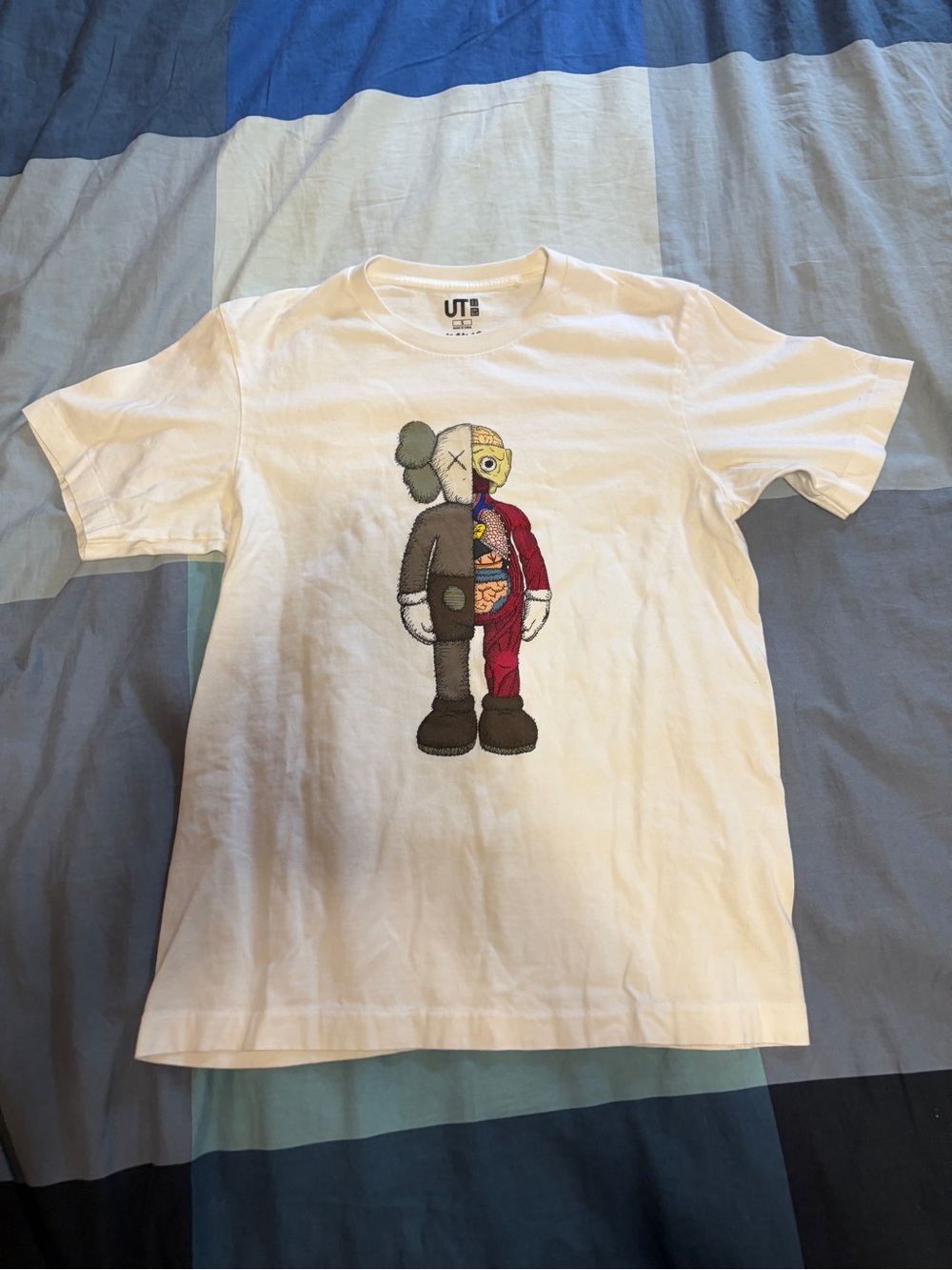 KAWS X Flayed